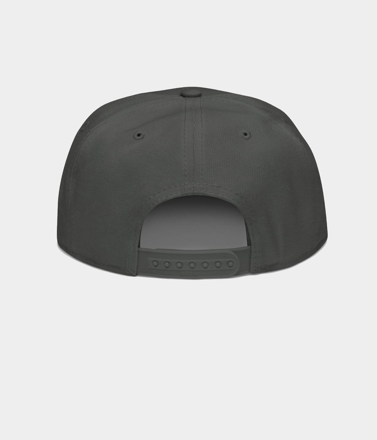 NOT A DJ SNAPBACK.