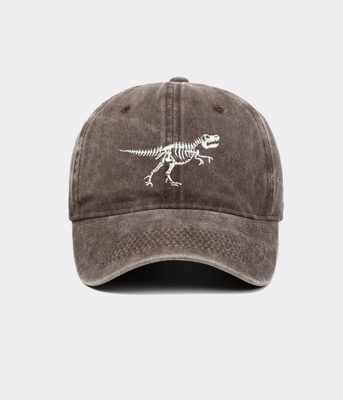 DINOSAURIER GEWASCHEN.
