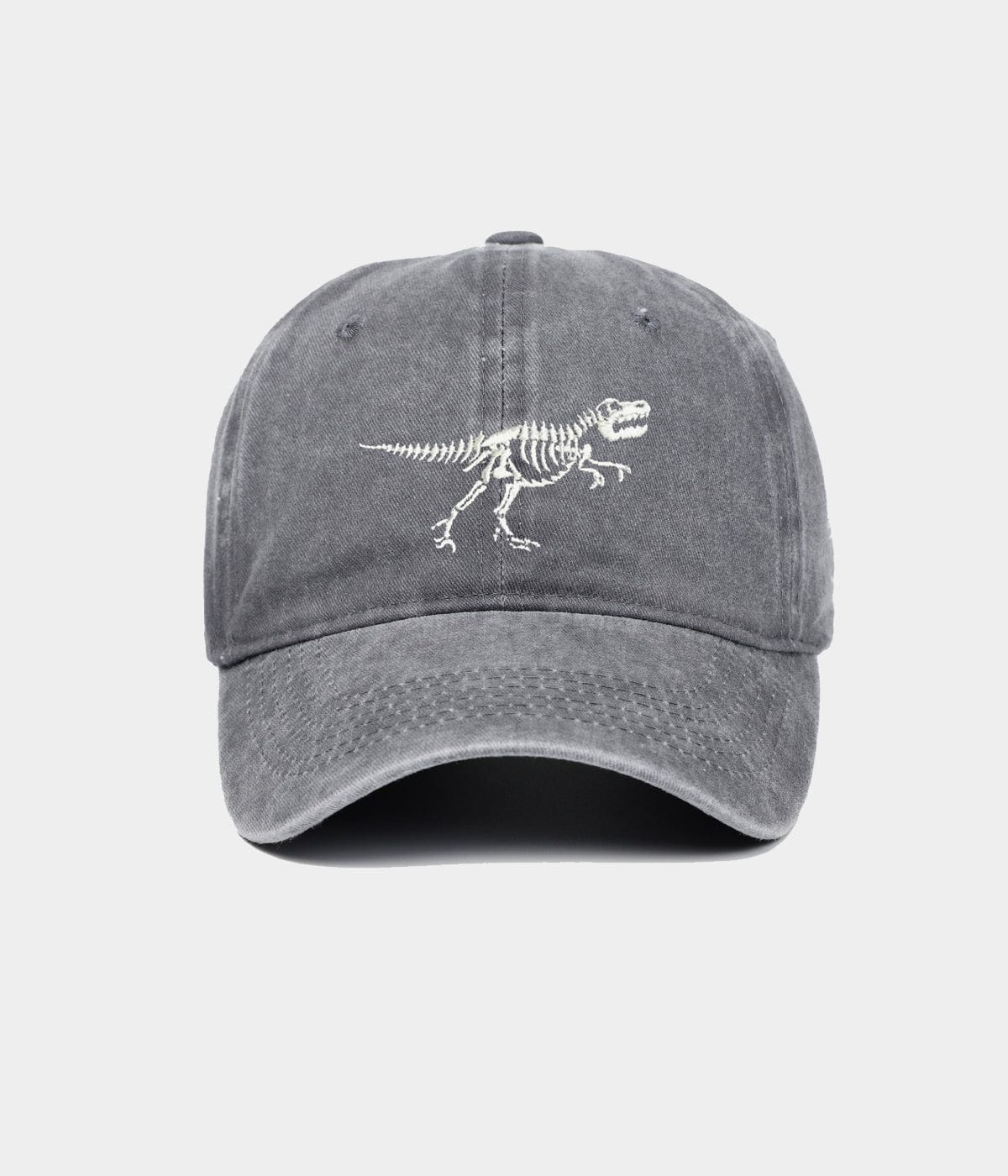 DINOSAURIER GEWASCHEN.