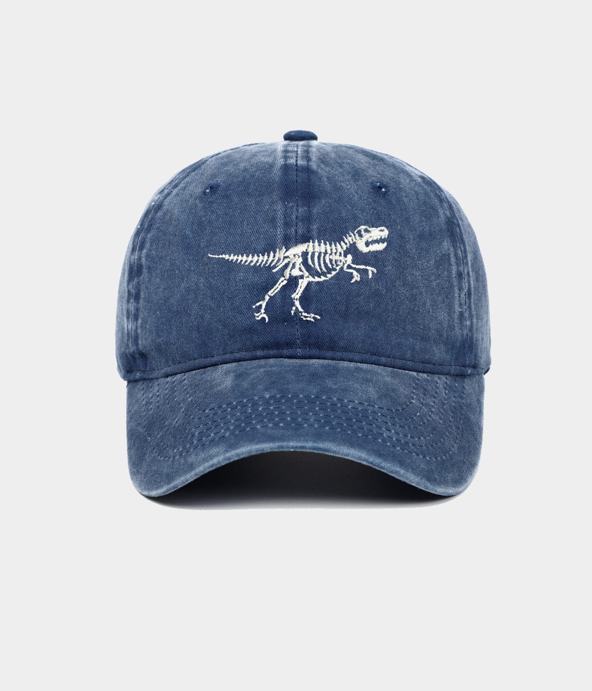 DINOSAURIER GEWASCHEN.