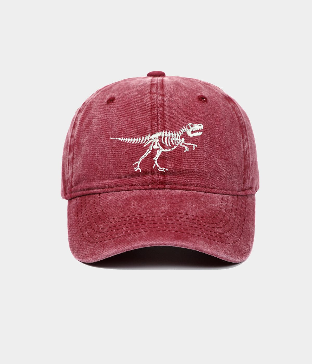 DINOSAURIER GEWASCHEN.