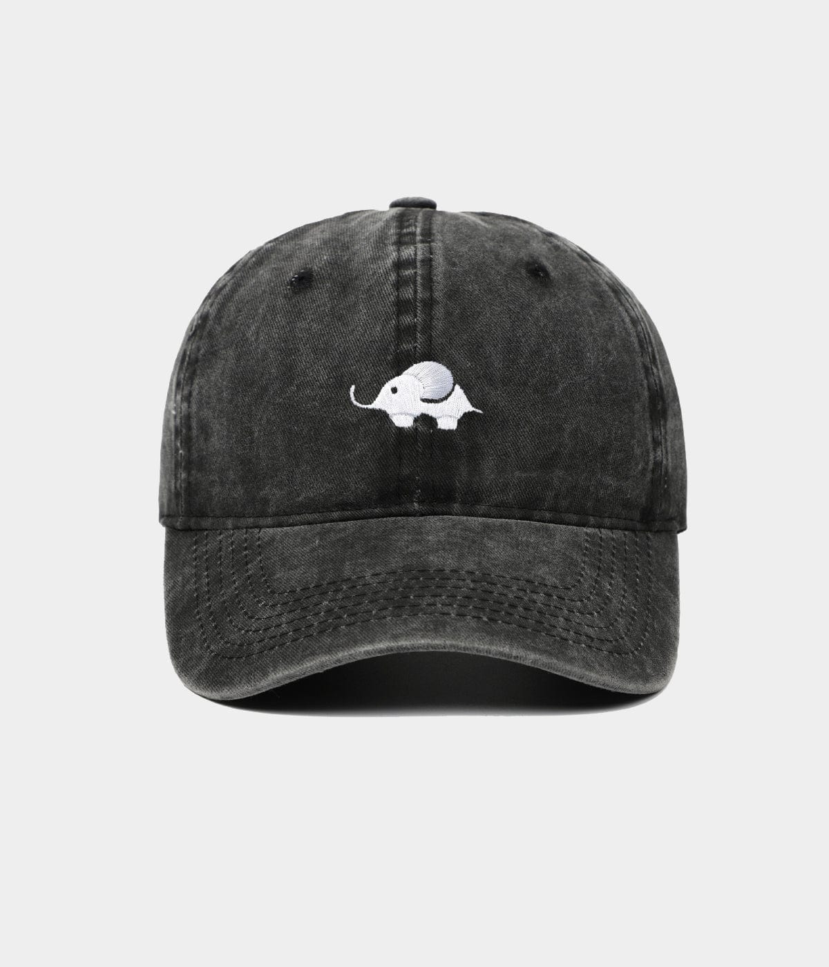 ELEFANT GEWASCHEN.