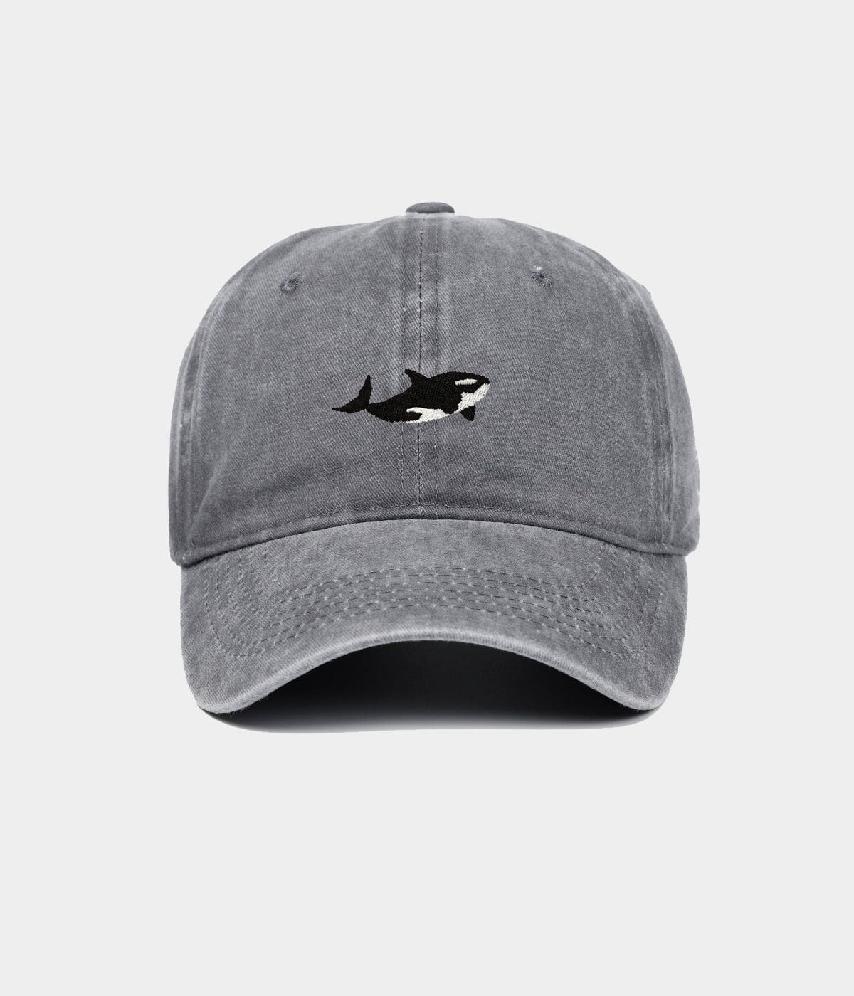 WASHED KILLER WHALE.