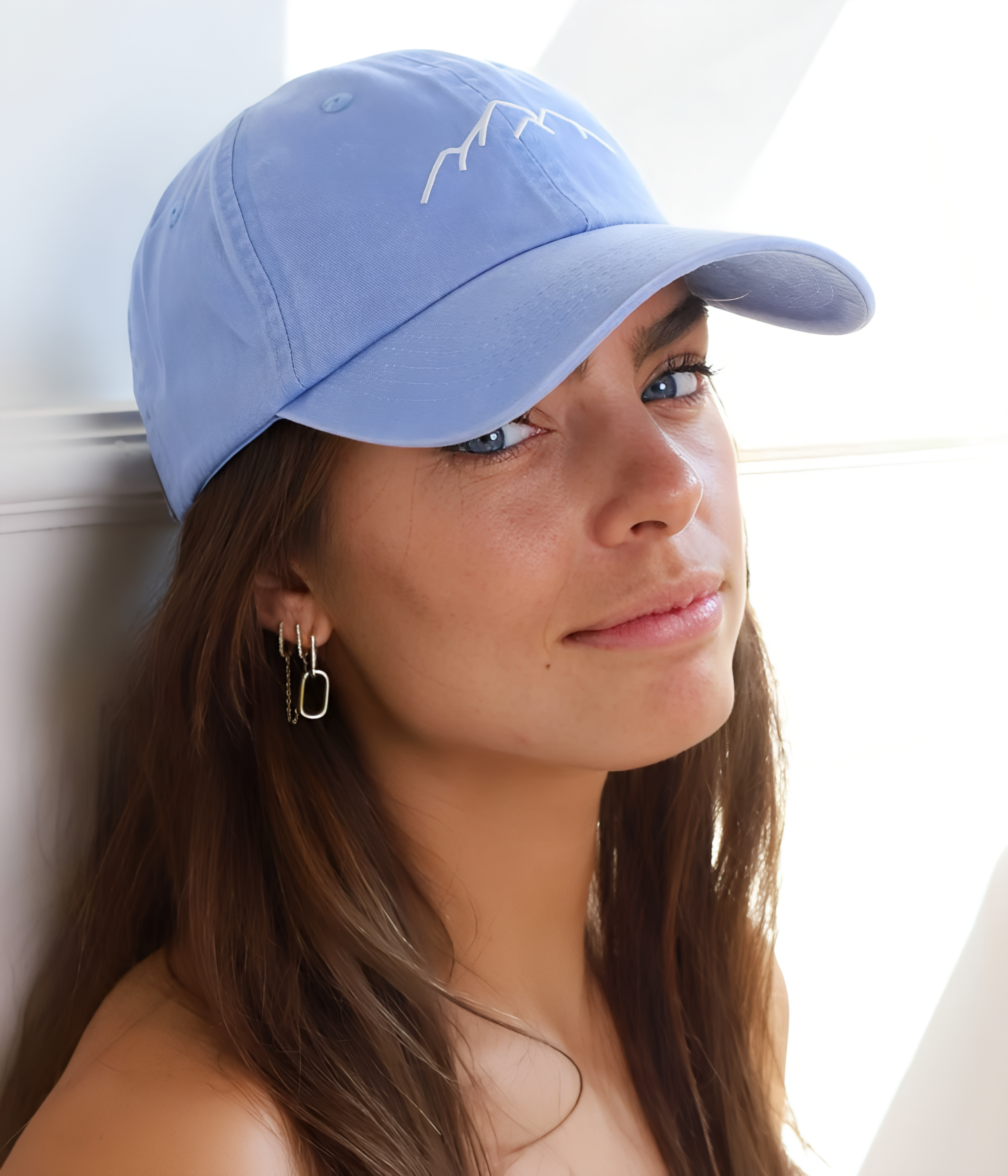 MONTAGNES - DÉLAVÉE.