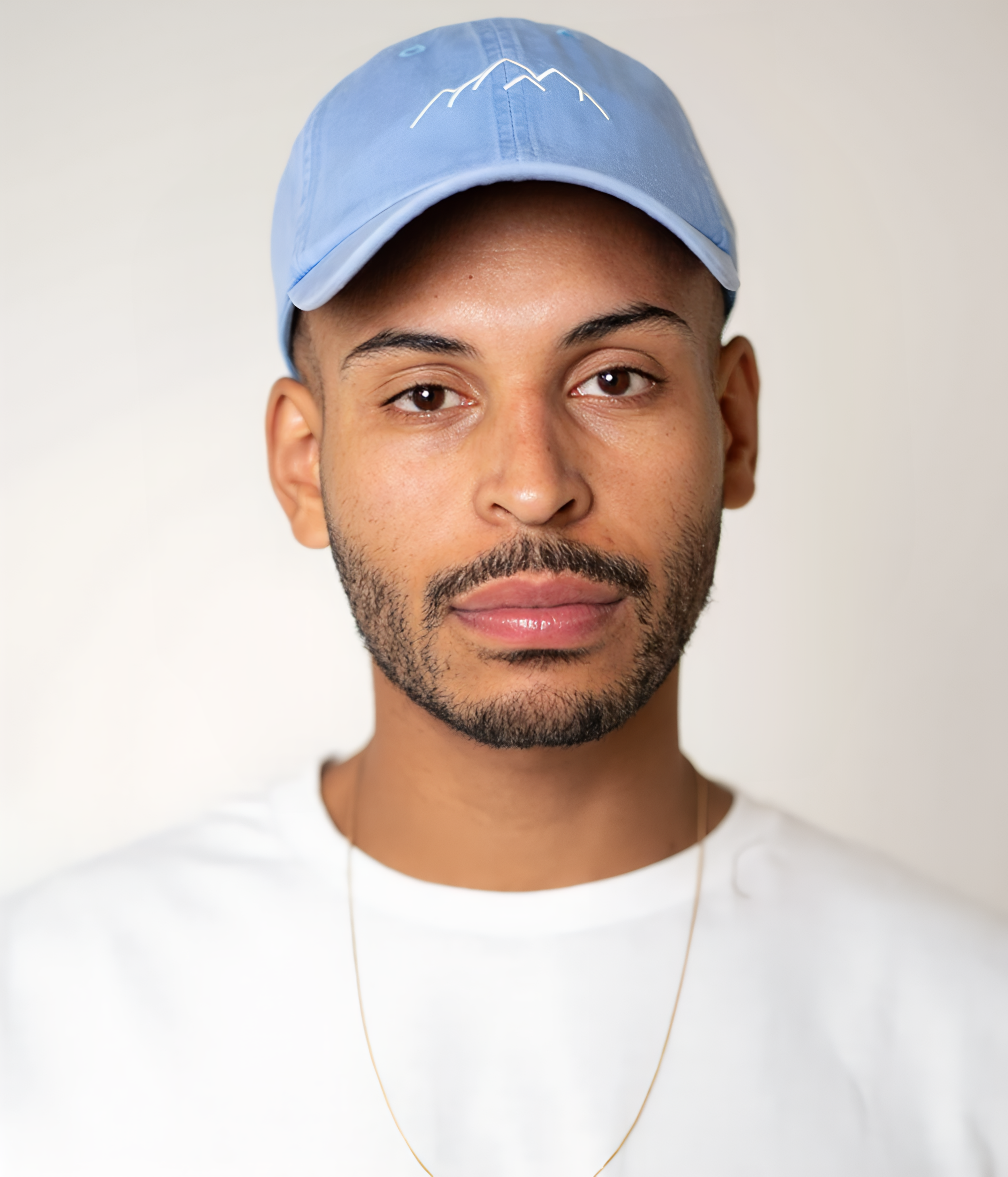 MONTAGNES - DÉLAVÉE.