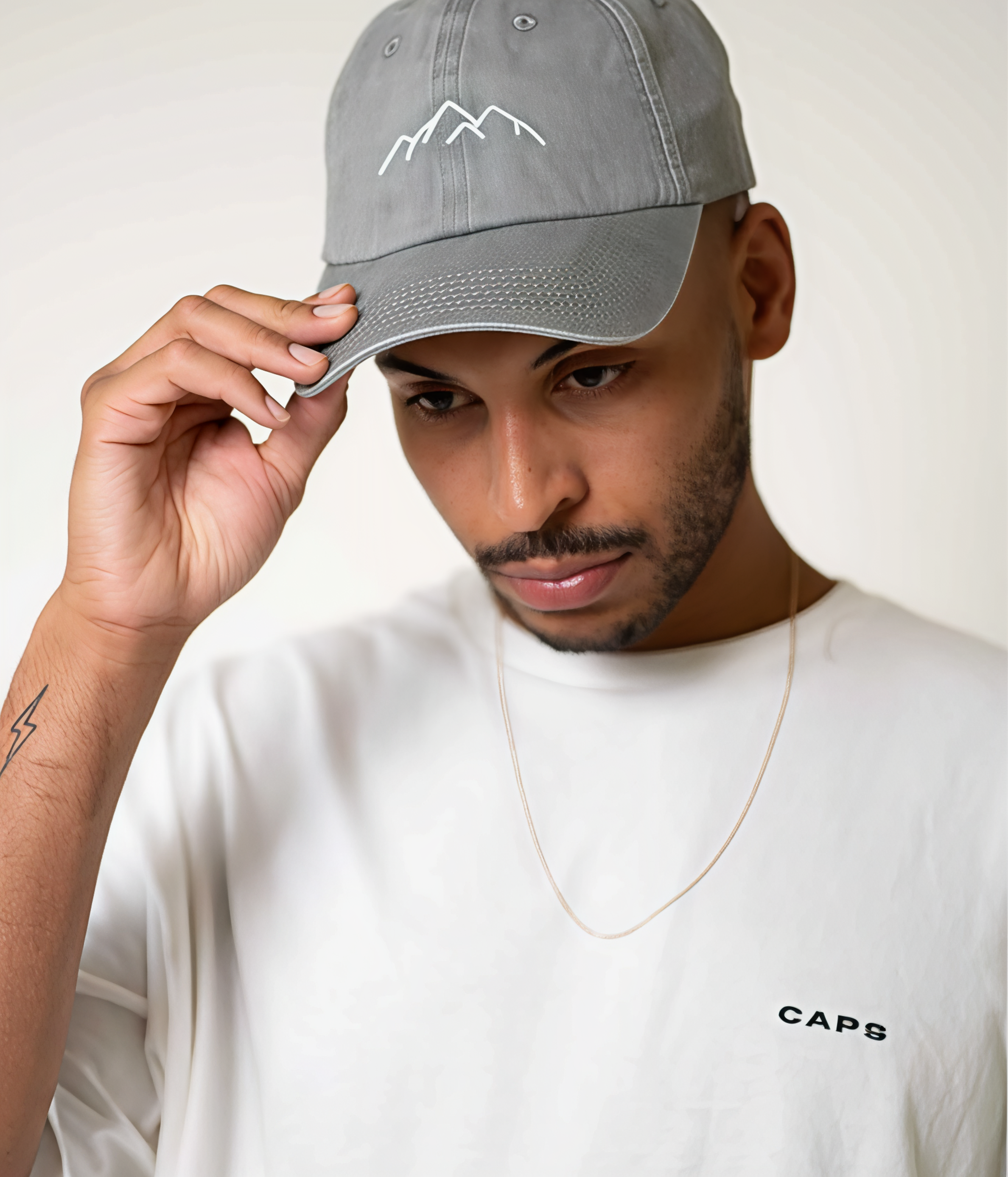 MONTAGNES - DÉLAVÉE.