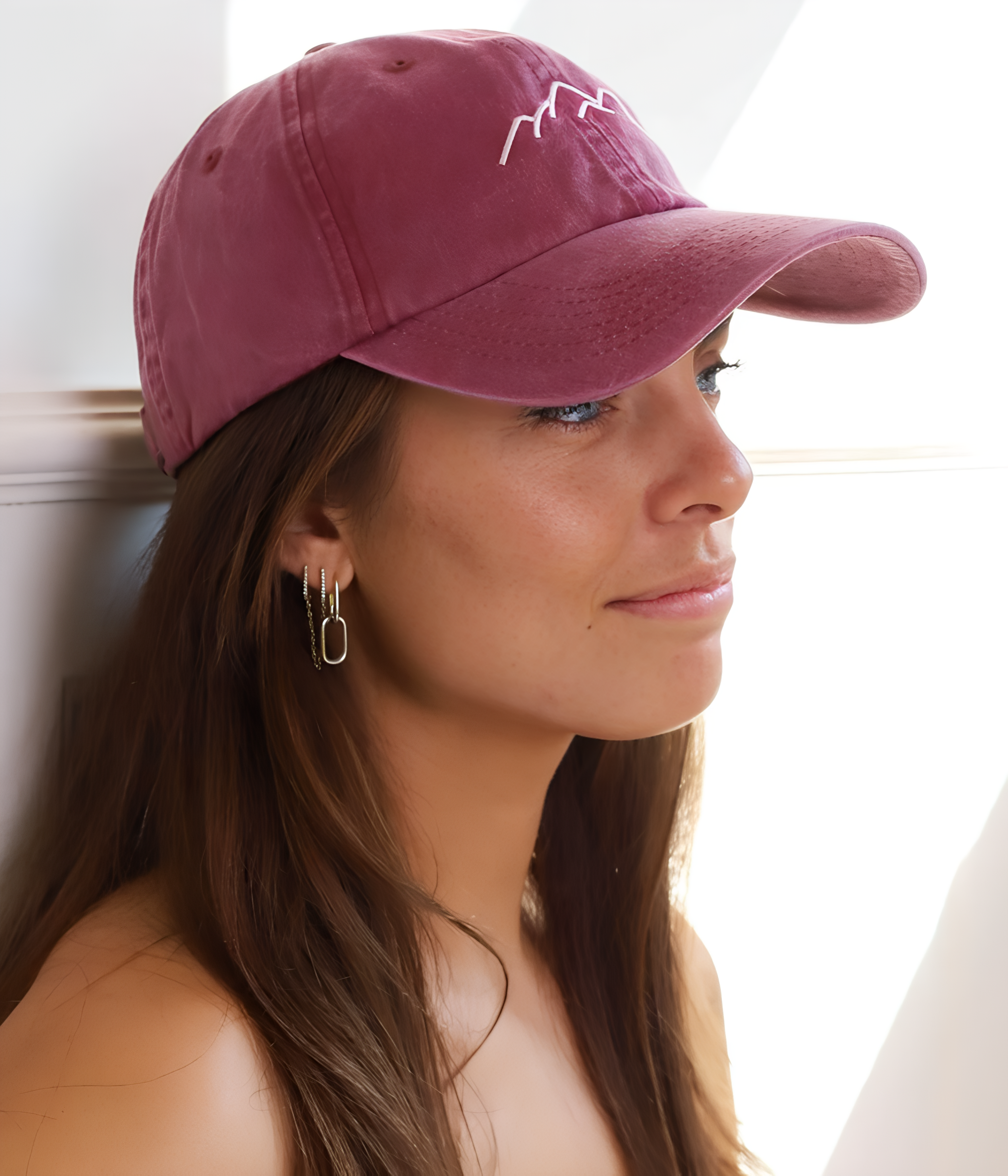 MONTAGNES - DÉLAVÉE.