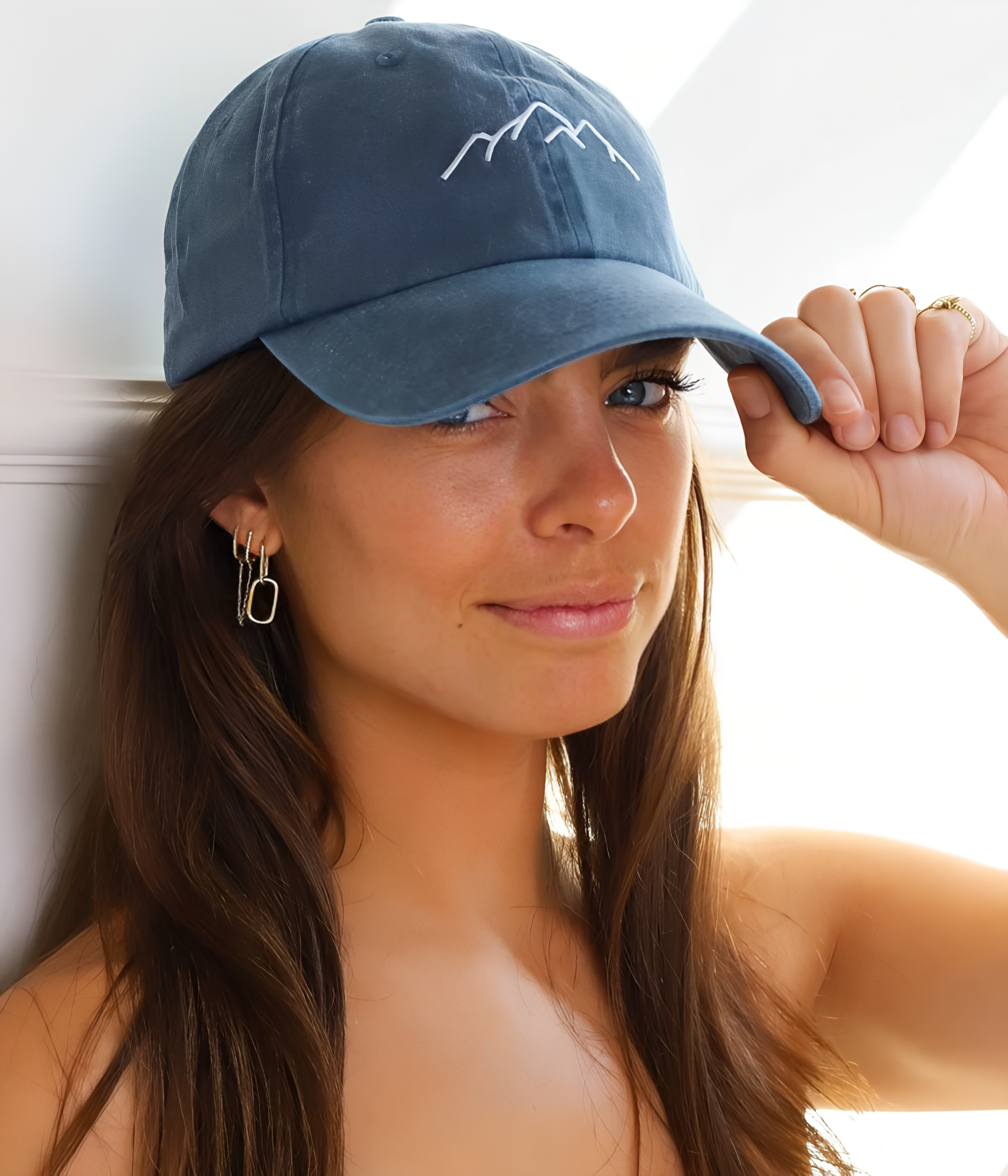 MONTAGNES - DÉLAVÉE.