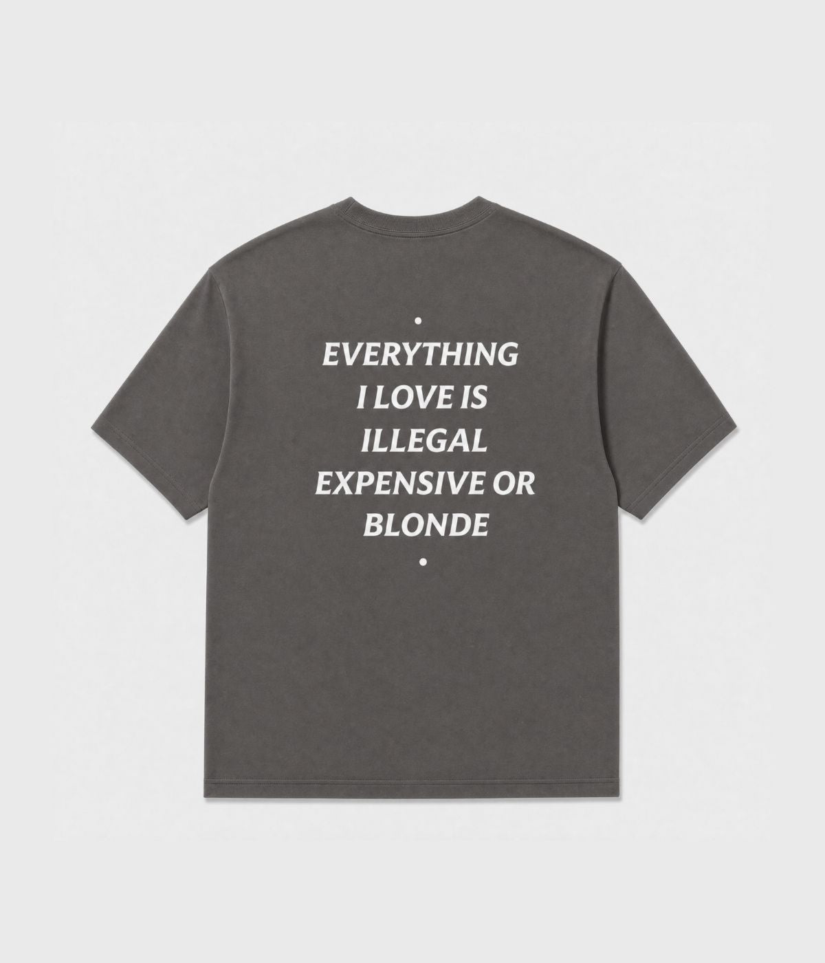 EVERYTHING I LOVE IS ILLEGAL SHIRT