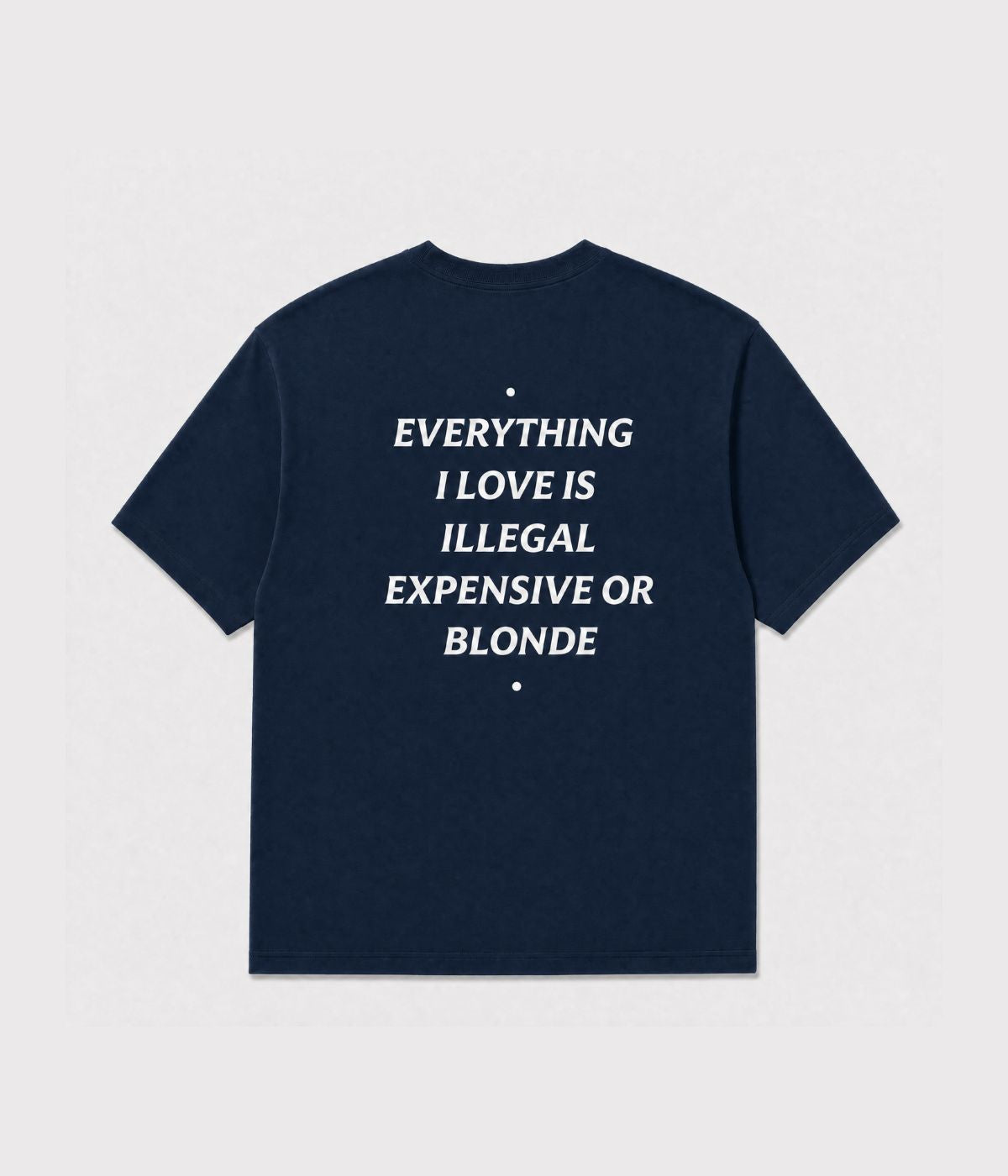 EVERYTHING I LOVE IS ILLEGAL SHIRT
