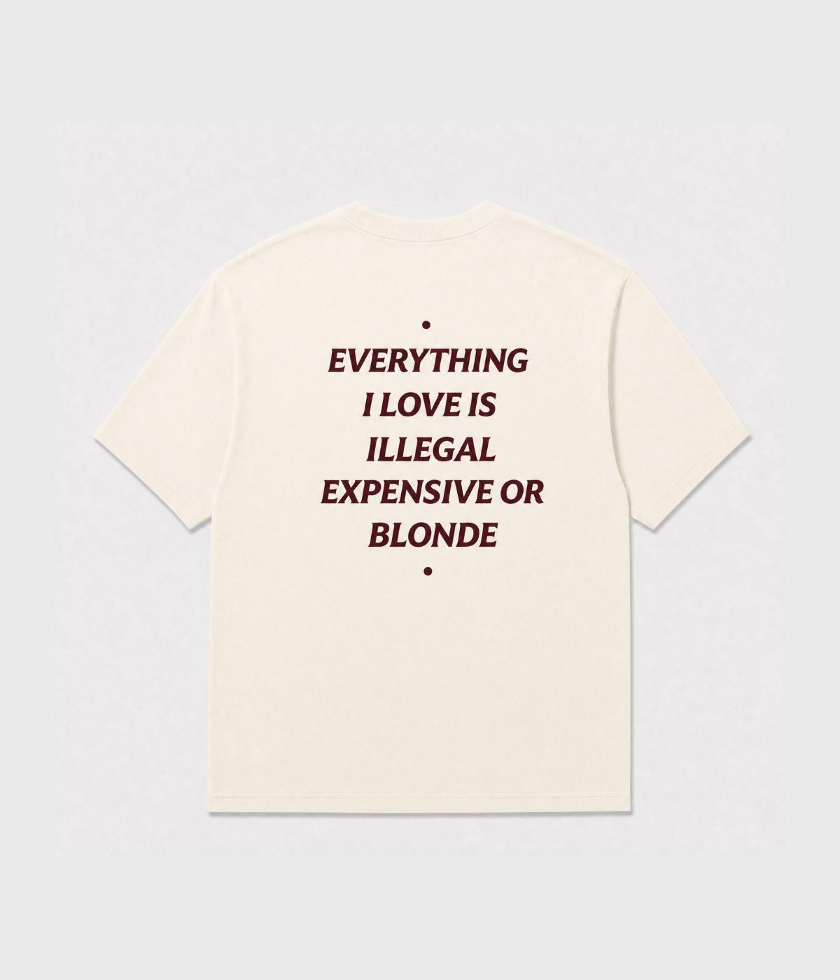 EVERYTHING I LOVE IS ILLEGAL SHIRT