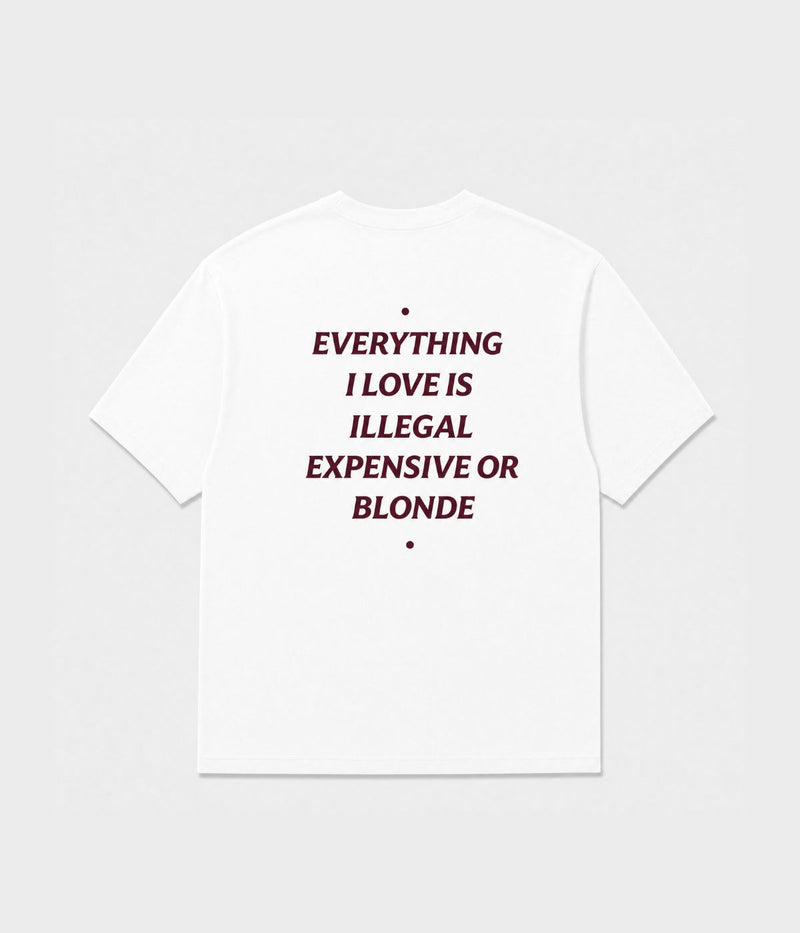 EVERYTHING I LOVE IS ILLEGAL SHIRT