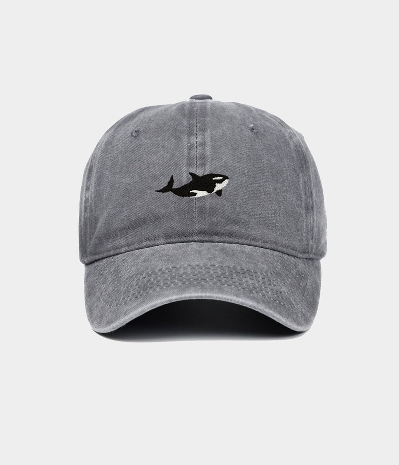 WASHED KILLER WHALE.