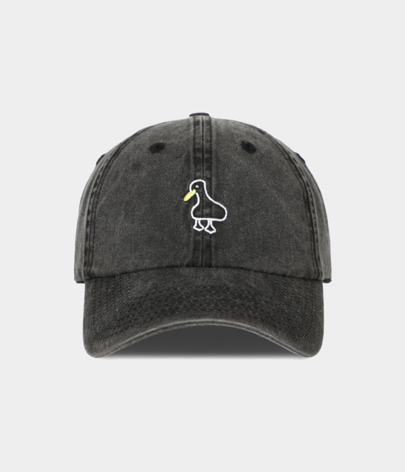 WASHED DUCK.