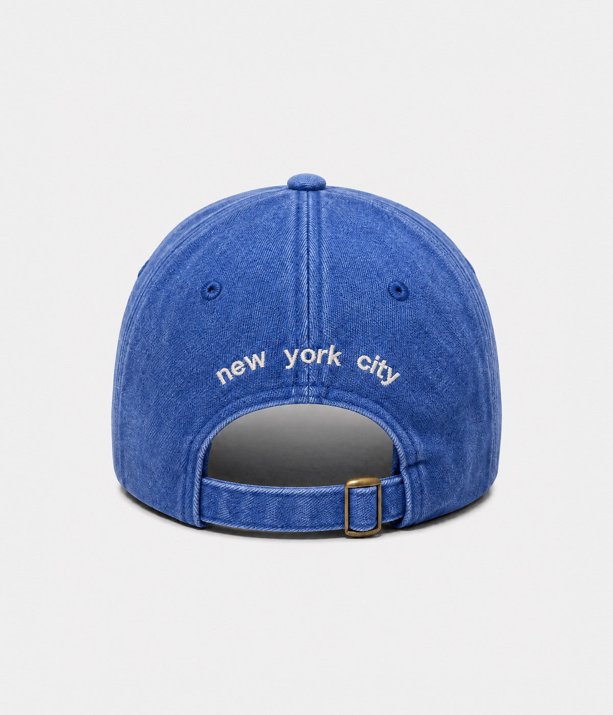 NEW YORK 1625. blue back