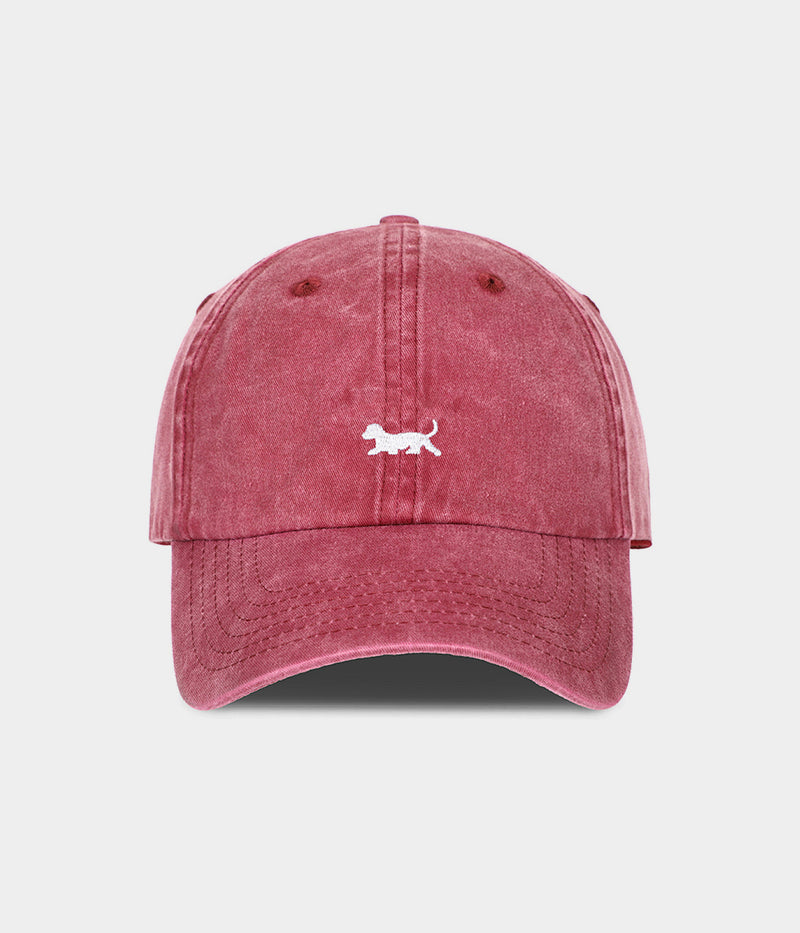 WASHED DOG.-CAPS